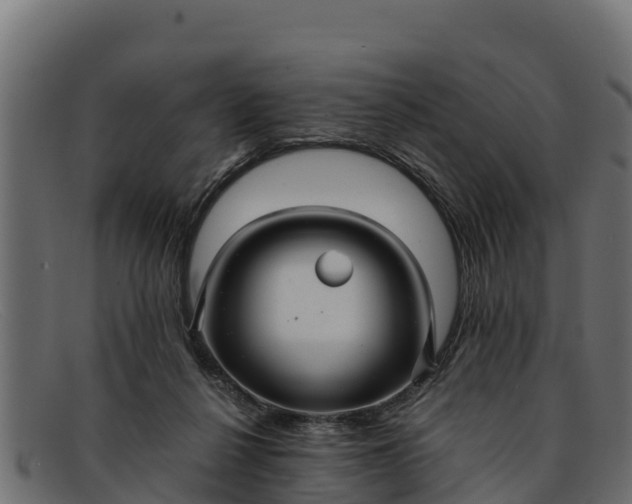 X0000091940264200709191425