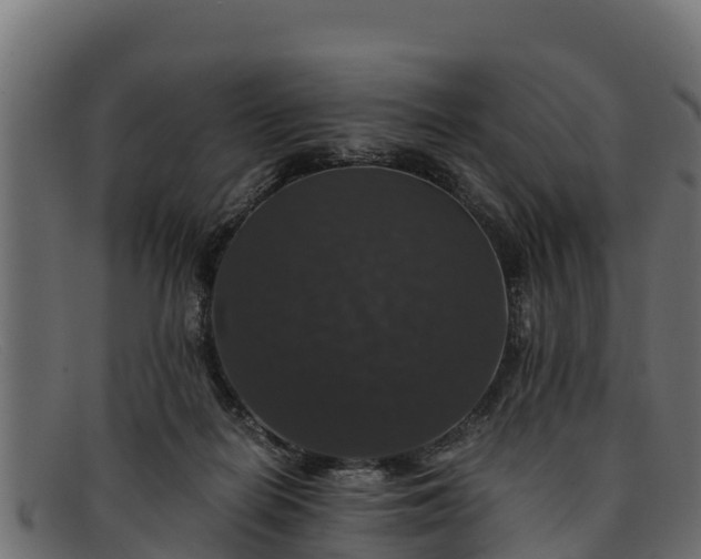 X0000091940266200709191425