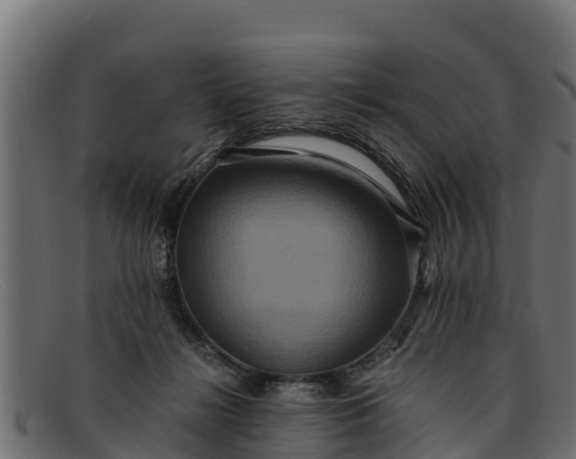 X0000091940268200709191425