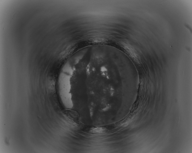 X0000091940269200709191425