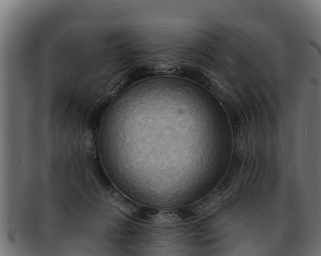 X0000091940270200709191425