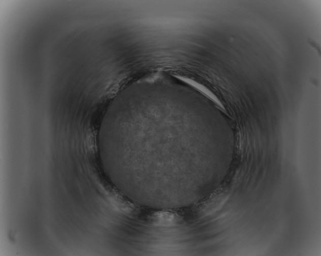 X0000091940272200709191425