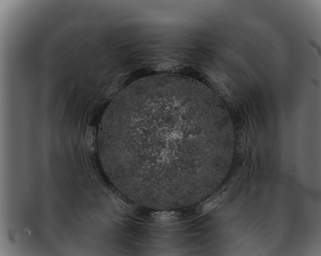 X0000091940273200709191425