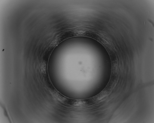 X0000091940274200709191425