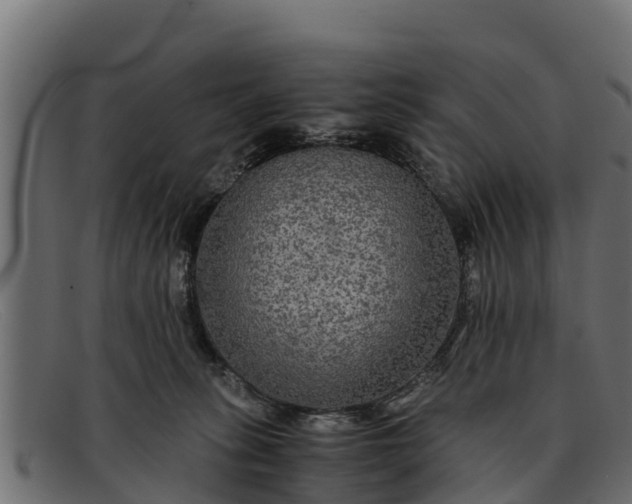 X0000091940275200709191426