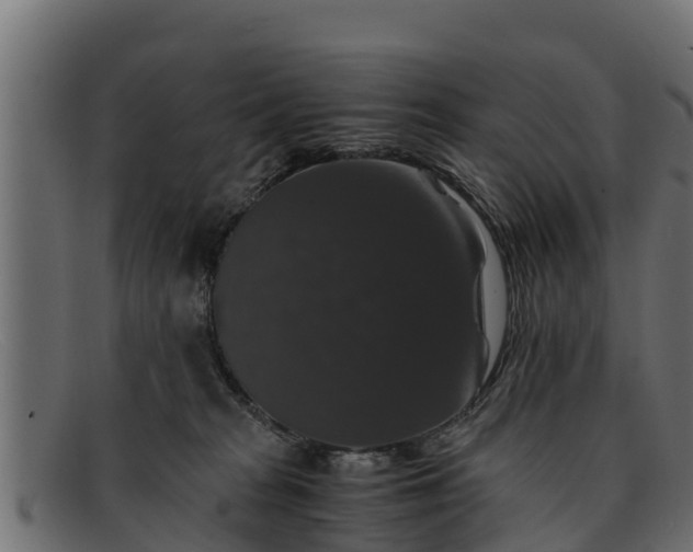 X0000091940277200709191426