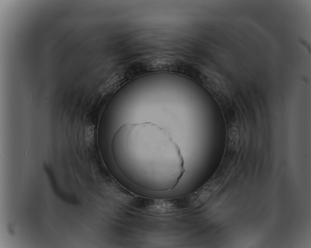 X0000091940278200709191426