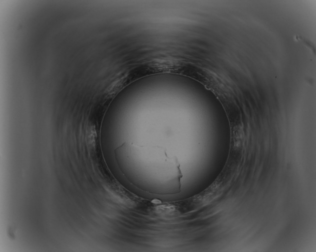 X0000091940279200709191426