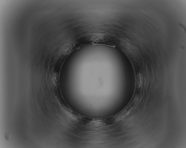 X0000091940280200709191426