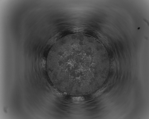 X0000091940281200709191426