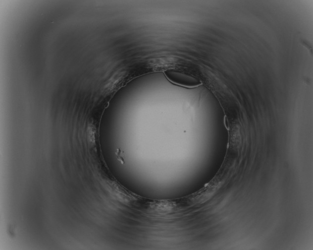 X0000091940282200709191426