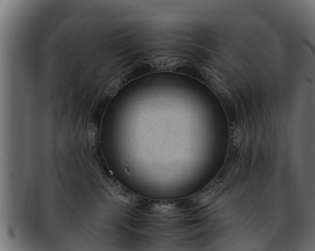 X0000091940283200709191426