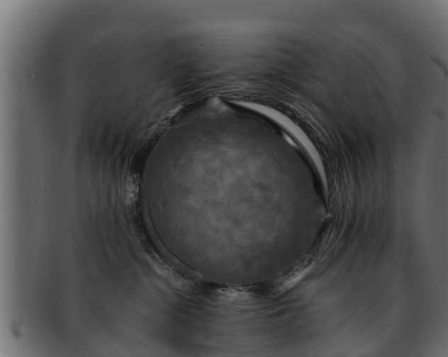 X0000091940284200709191426