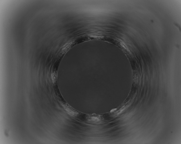 X0000091940285200709191426