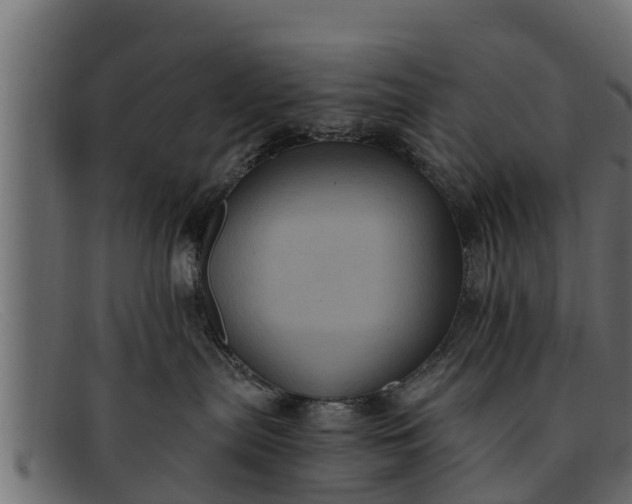 X0000091940287200709191426