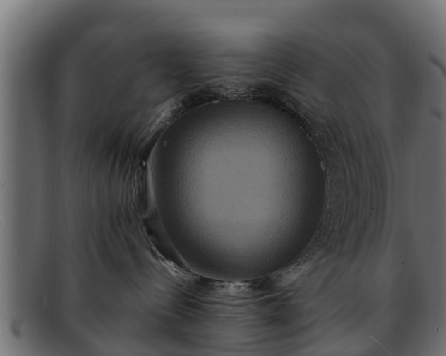 X0000091940288200709191426