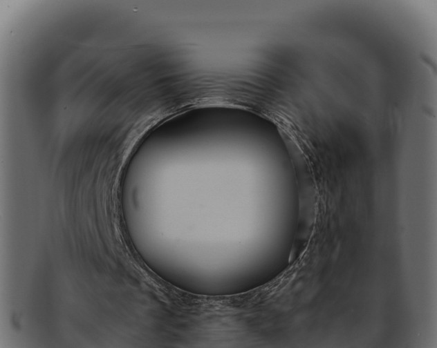 X0000091940289200709191425