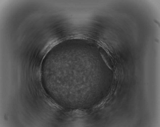 X0000091940290200709191425