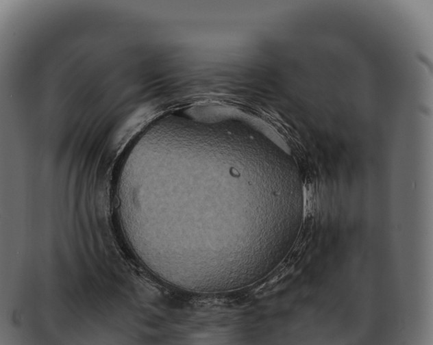 X0000091940291200709191425