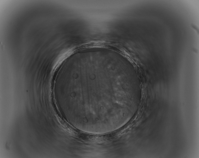 X0000091940293200709191425