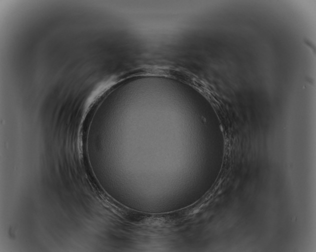 X0000091940294200709191425