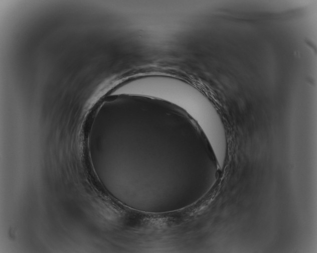 X0000091940295200709191425