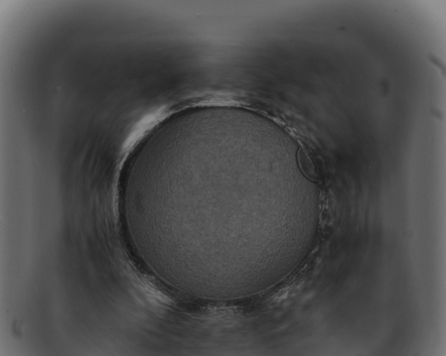 X0000091940296200709191425