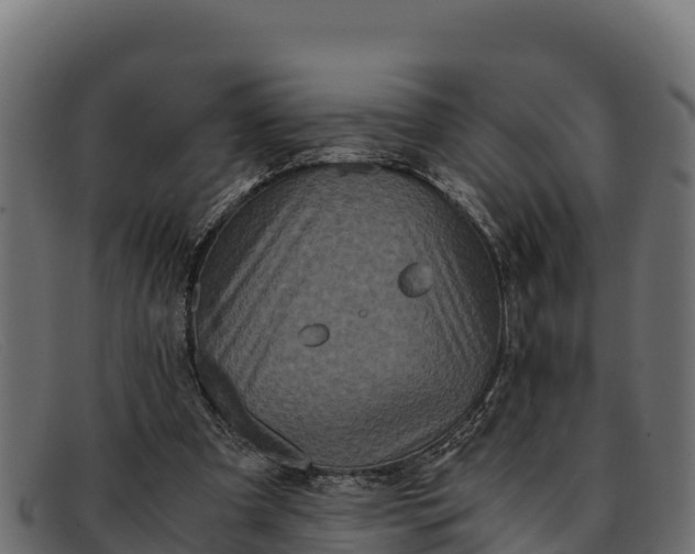 X0000091940297200709191425