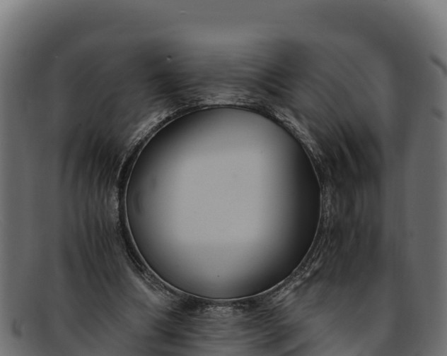 X0000091940298200709191425