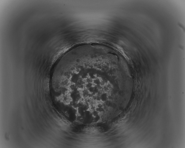 X0000091940299200709191425