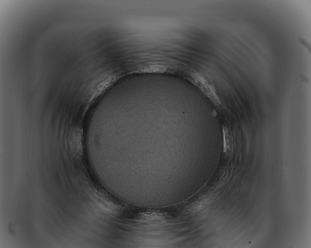 X0000091940300200709191425