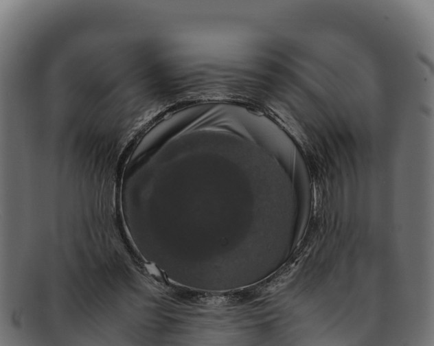 X0000091940301200709191425