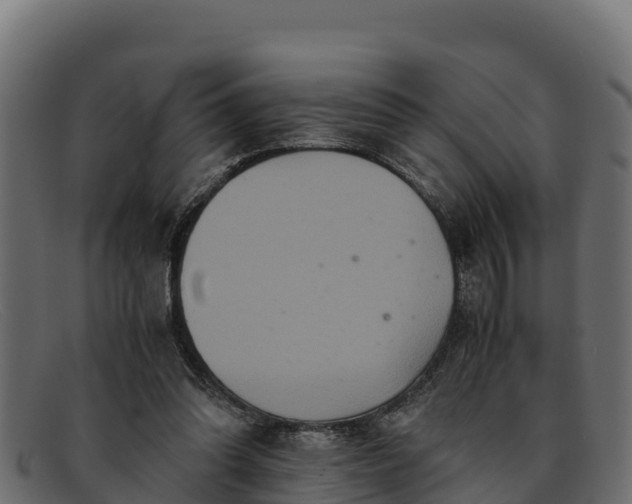 X0000091940302200709191425