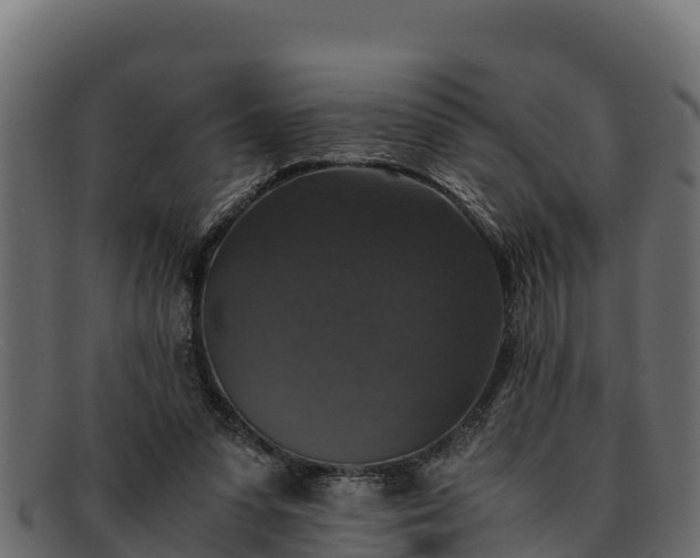 X0000091940303200709191425