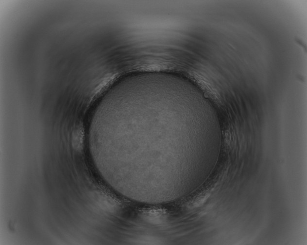 X0000091940304200709191425