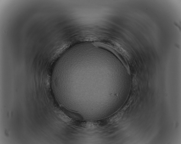 X0000091940305200709191425