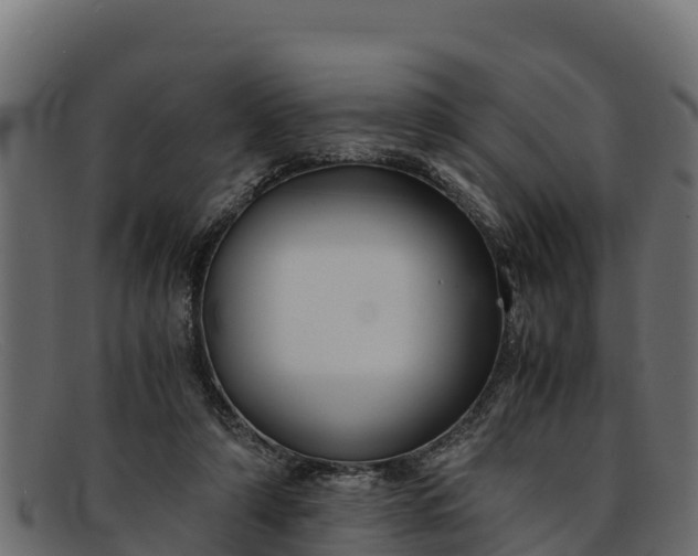 X0000091940306200709191425