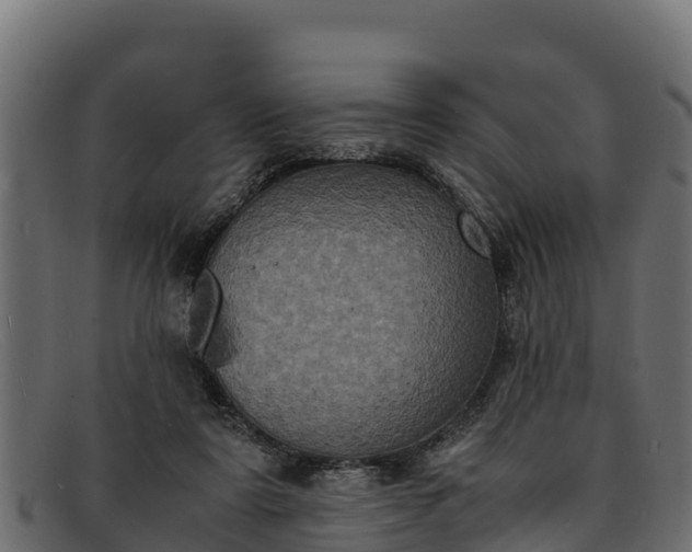 X0000091940307200709191425