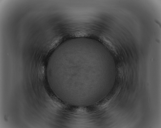 X0000091940308200709191425