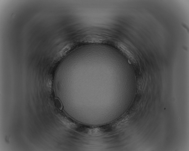 X0000091940309200709191425