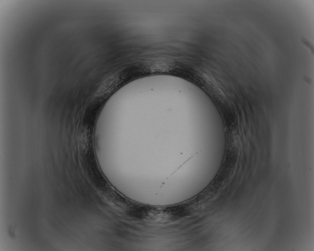 X0000091940311200709191425