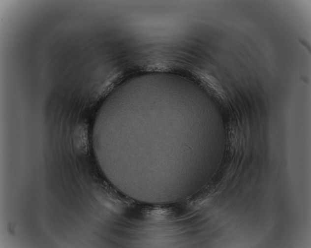 X0000091940312200709191425