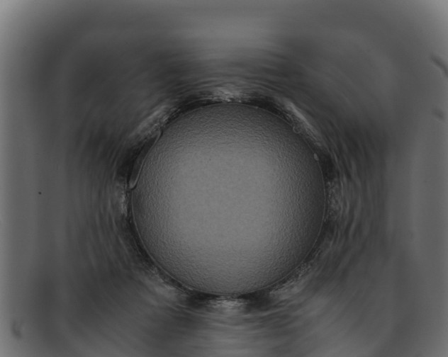 X0000091940313200709191425