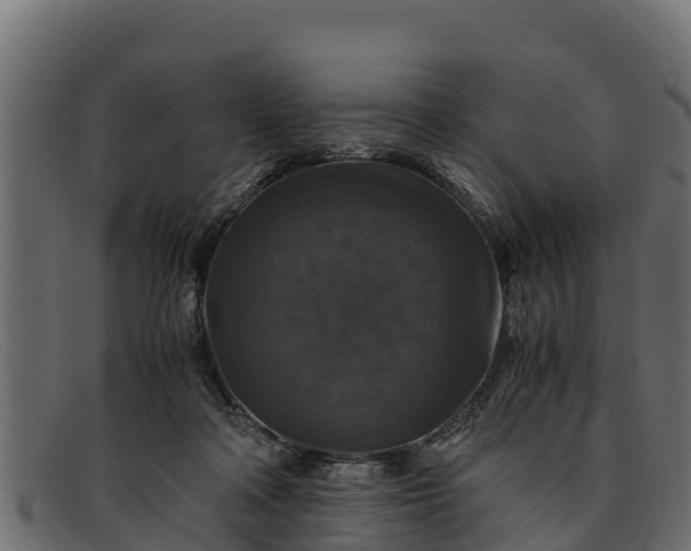 X0000091940314200709191425