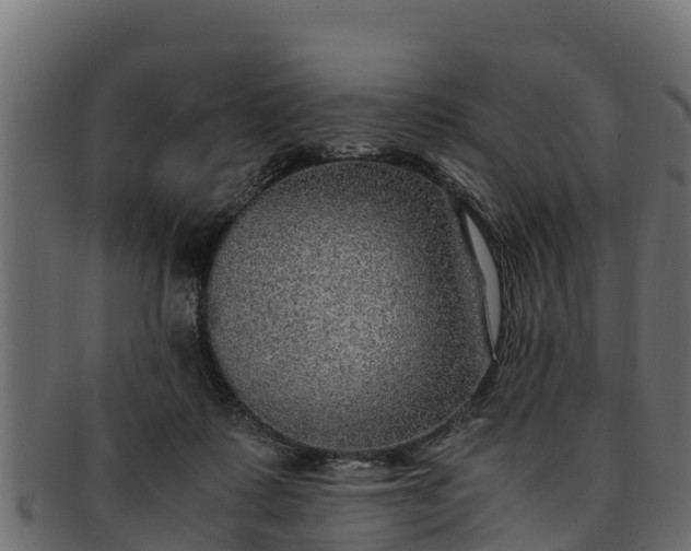 X0000091940315200709191425