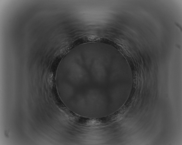 X0000091940319200709191425