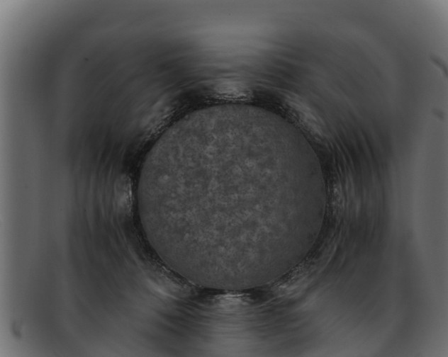 X0000091940320200709191425