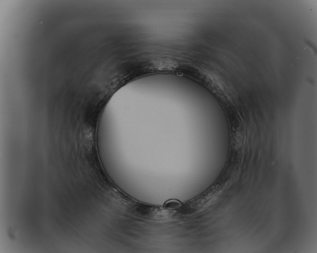 X0000091940321200709191425