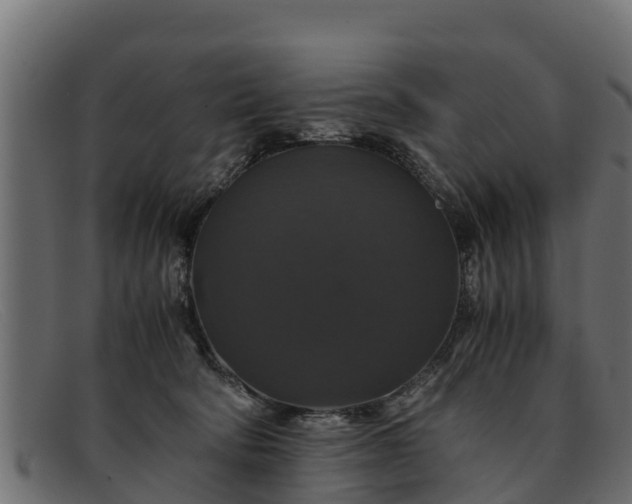 X0000091940322200709191425