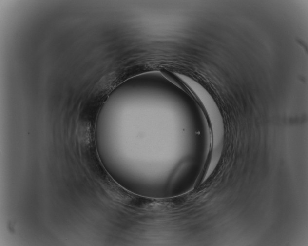 X0000091940323200709191425